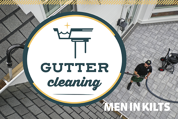 Gutter Cleaning Company Mount Vernon Wa